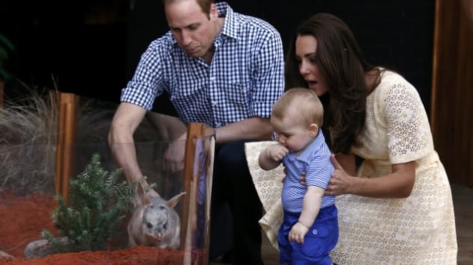 Malý králíček dostal jméno George po malém princovi